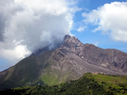 paysages de basse terre